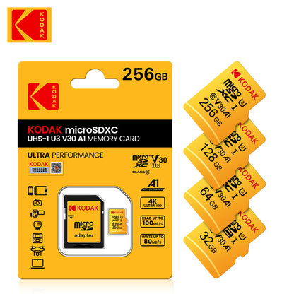 Monitoring Memory Card
