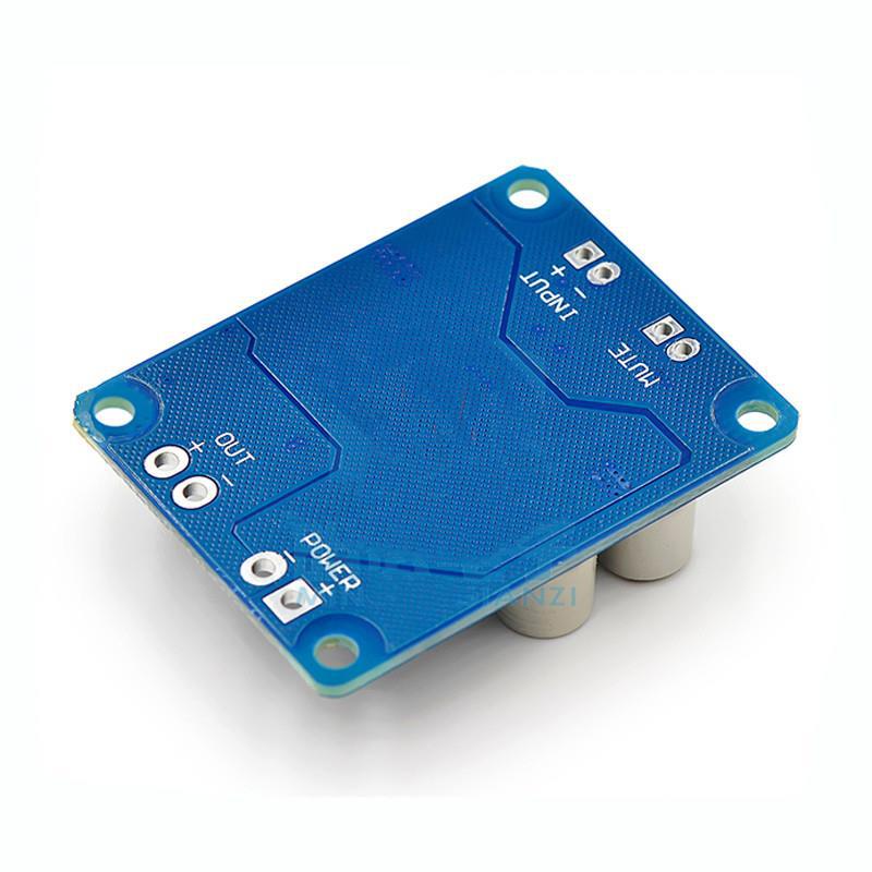 Mono digital amplifier board