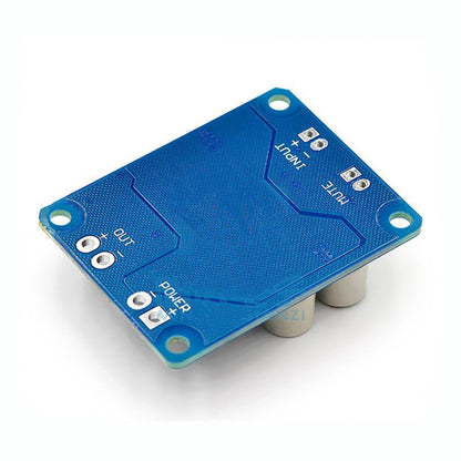 Mono digital amplifier board