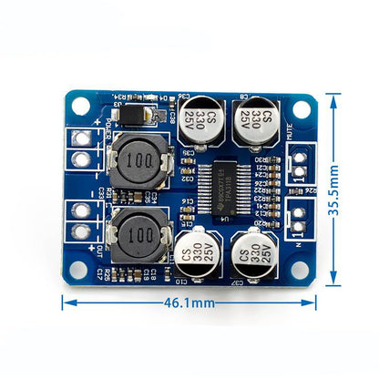 Mono digital amplifier board