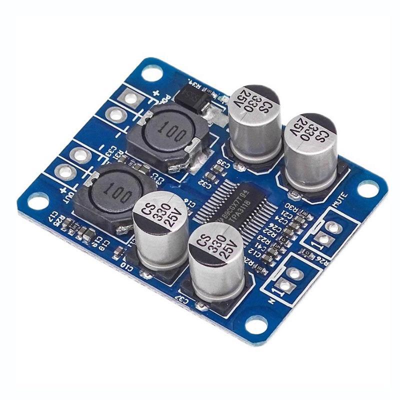 Mono digital amplifier board