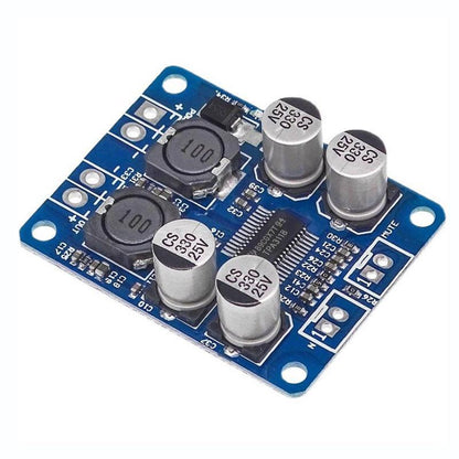 Mono digital amplifier board