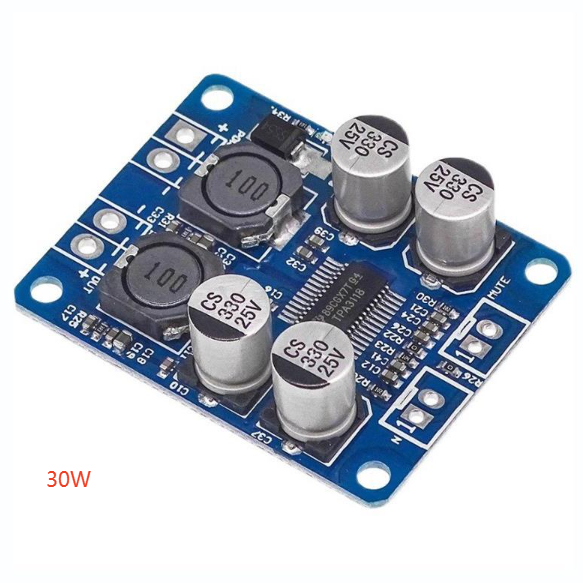 Mono digital amplifier board