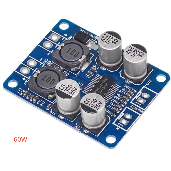 Mono digital amplifier board