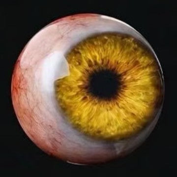 Monster Eye Resin Decoration