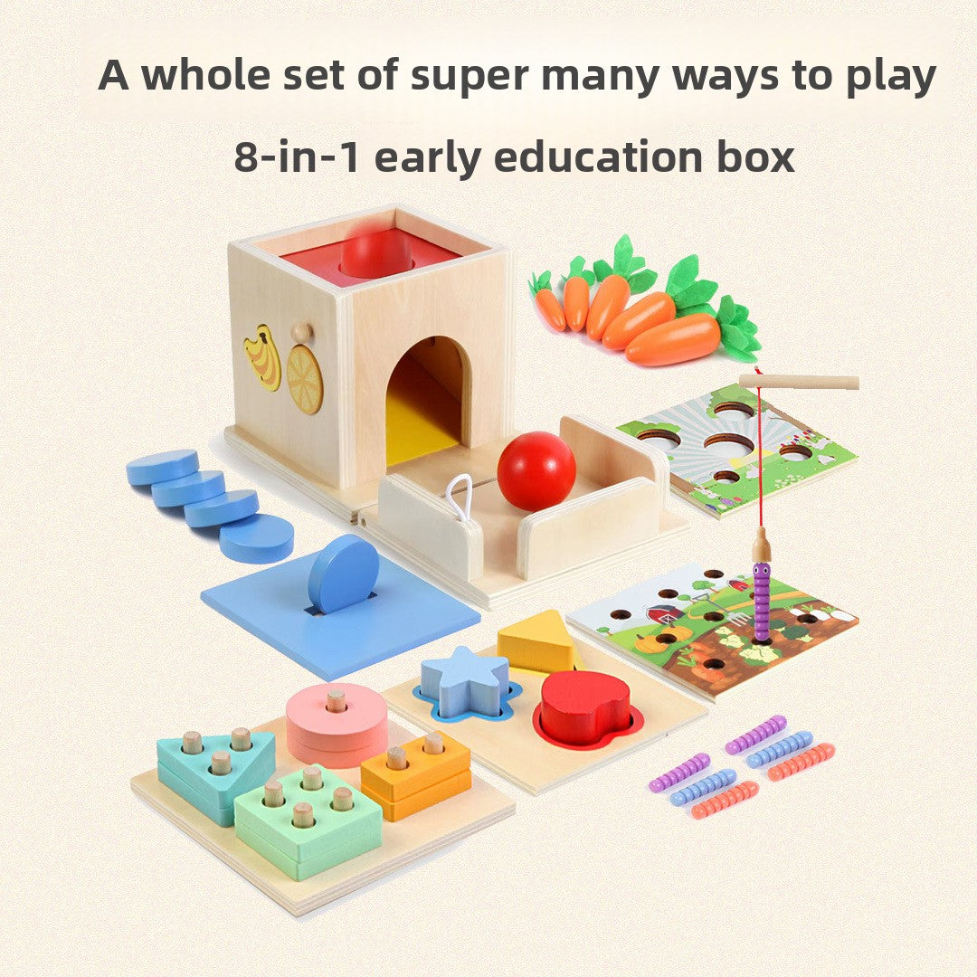 Montessori Educational Wooden Blocks Set