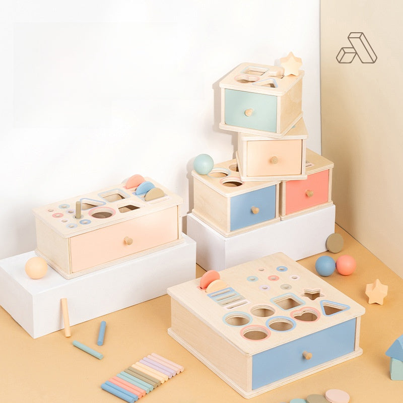 Montessori Geometric Shape Color Matching Toy