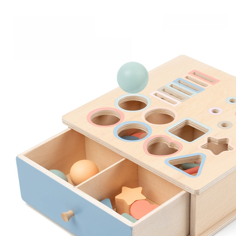 Montessori Geometric Shape Color Matching Toy