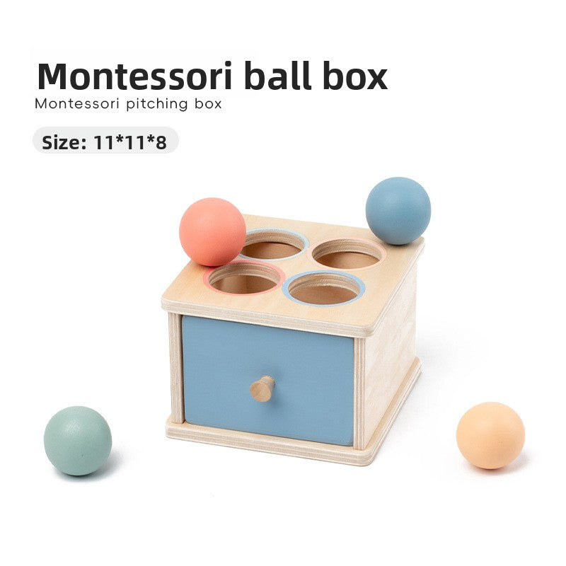 Montessori Geometric Shape Color Matching Toy