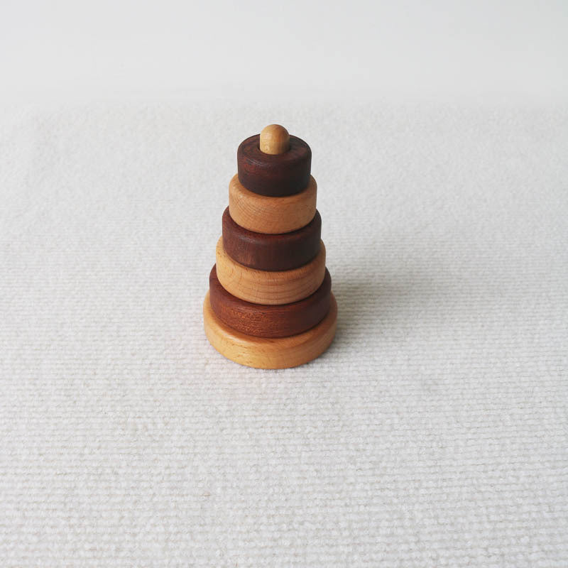 Montessori Wooden Shape Puzzle Toy