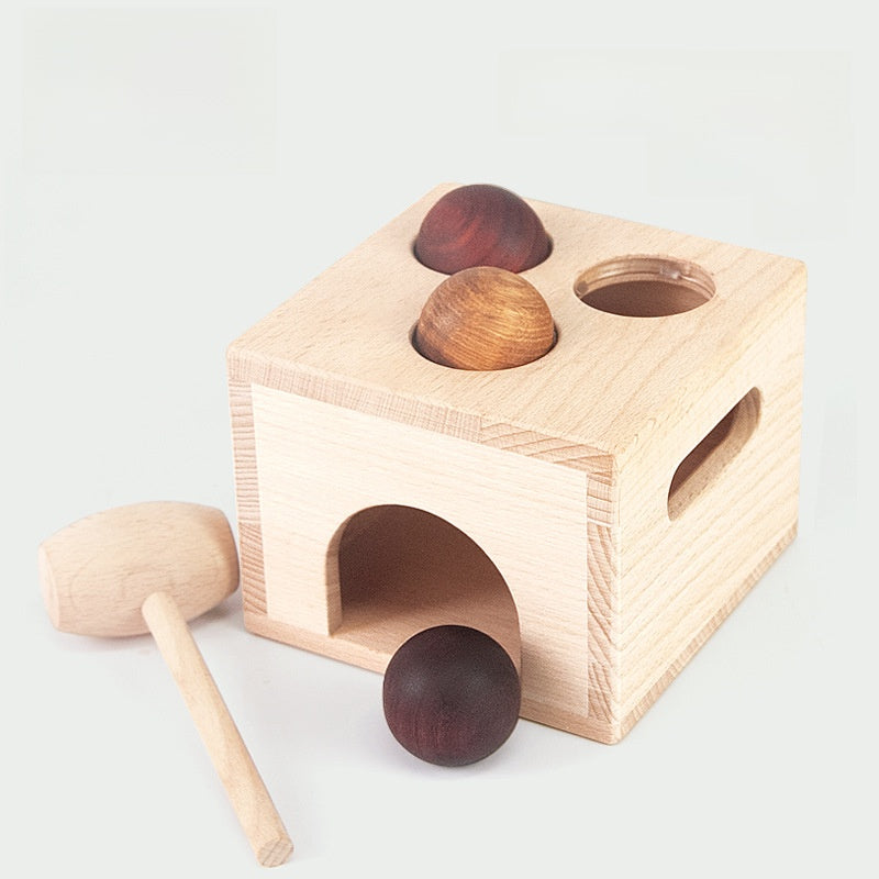 Montessori Wooden Shape Puzzle Toy