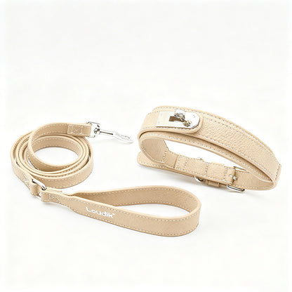 MOQ:200 Leather Dog Collar Leash with Waste Bag