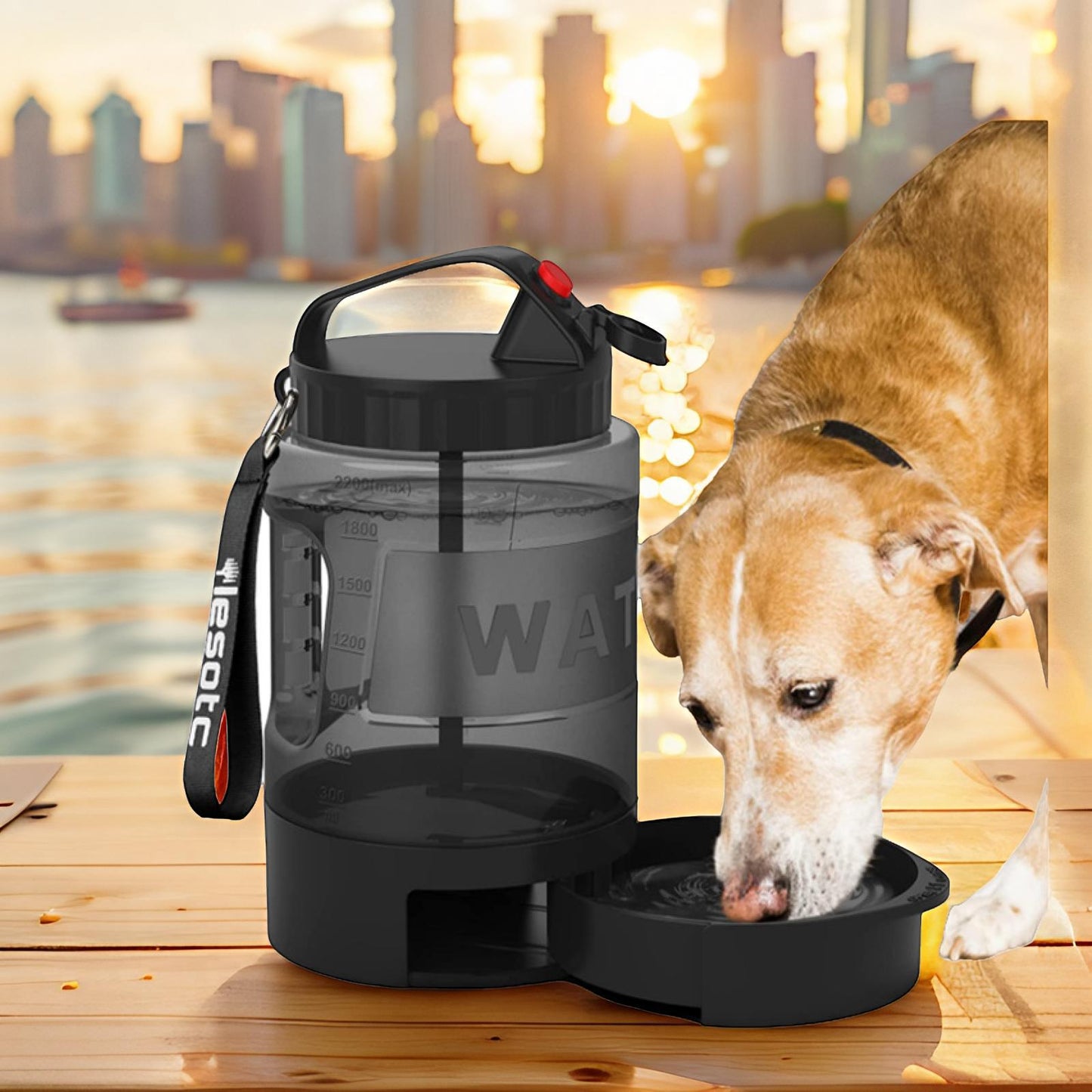 MOQ:2 2.2L Dog Kettle Large Capacity Drinking Kettle Outdoor Sports Kettle Outdoor Cat and Dog Kettle