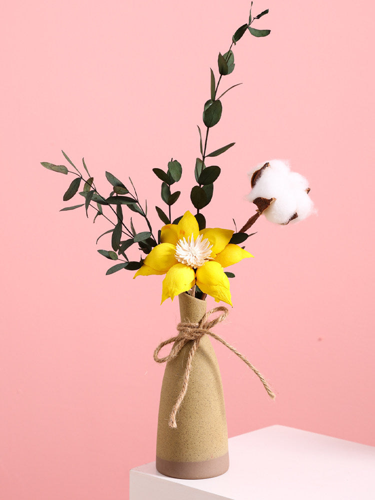 Morandi Small Vase iBed and Breakfast Decoration Dried Flower Ornaments Home Furnishings