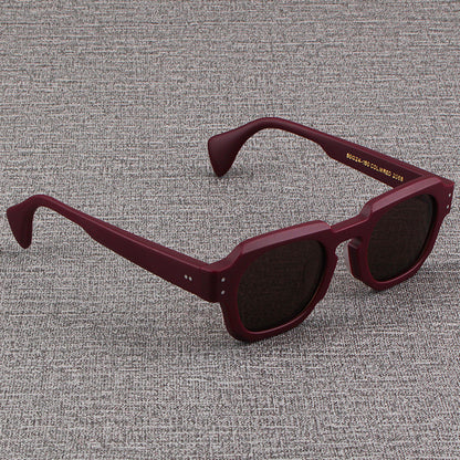 Moscot Lemtosh Polarized Sunglasses with Thick Frame