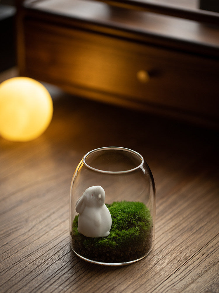 Moss bonsai