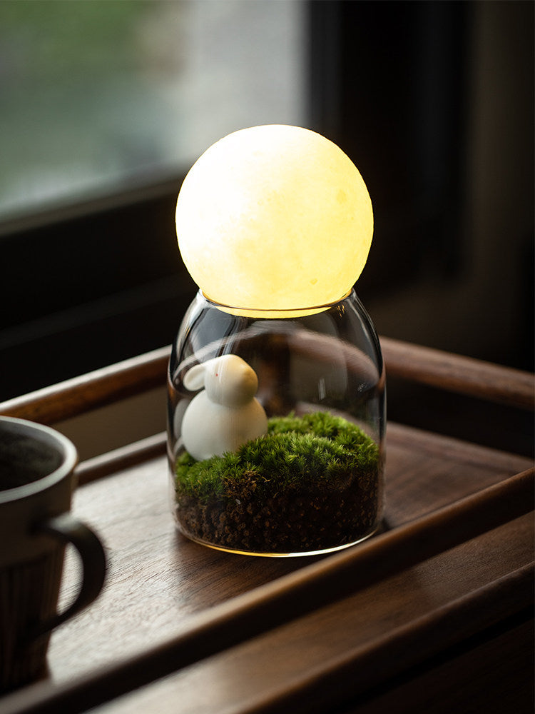 Moss bonsai