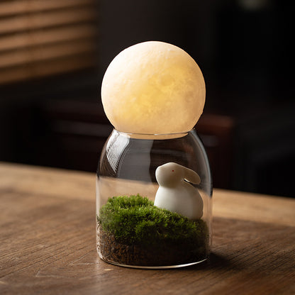 Moss bonsai