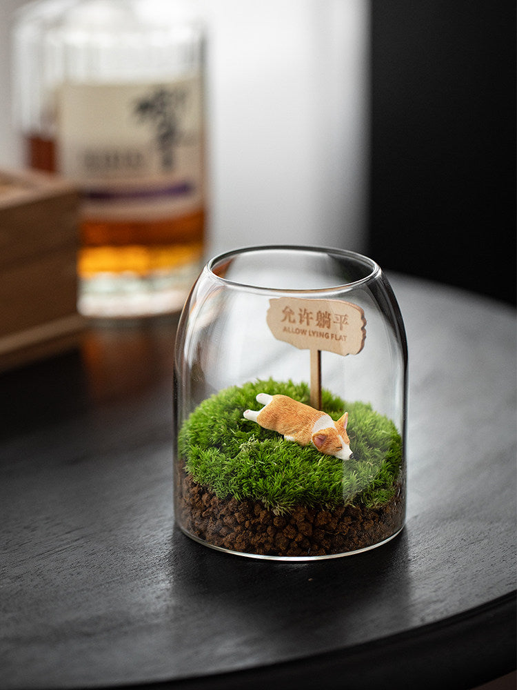 Moss miniature landscape