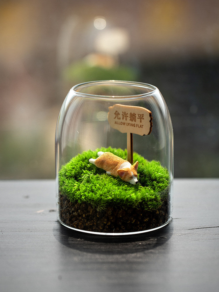 Moss miniature landscape