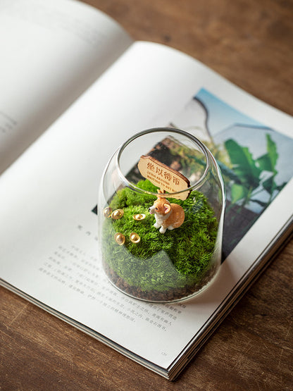 Moss miniature landscape