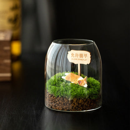 Moss miniature landscape