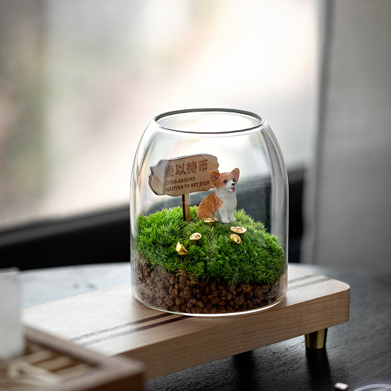 Moss miniature landscape