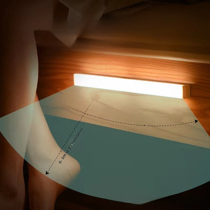 Motion sensor light