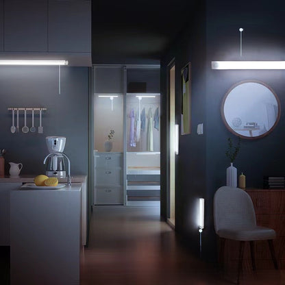 Motion sensor light