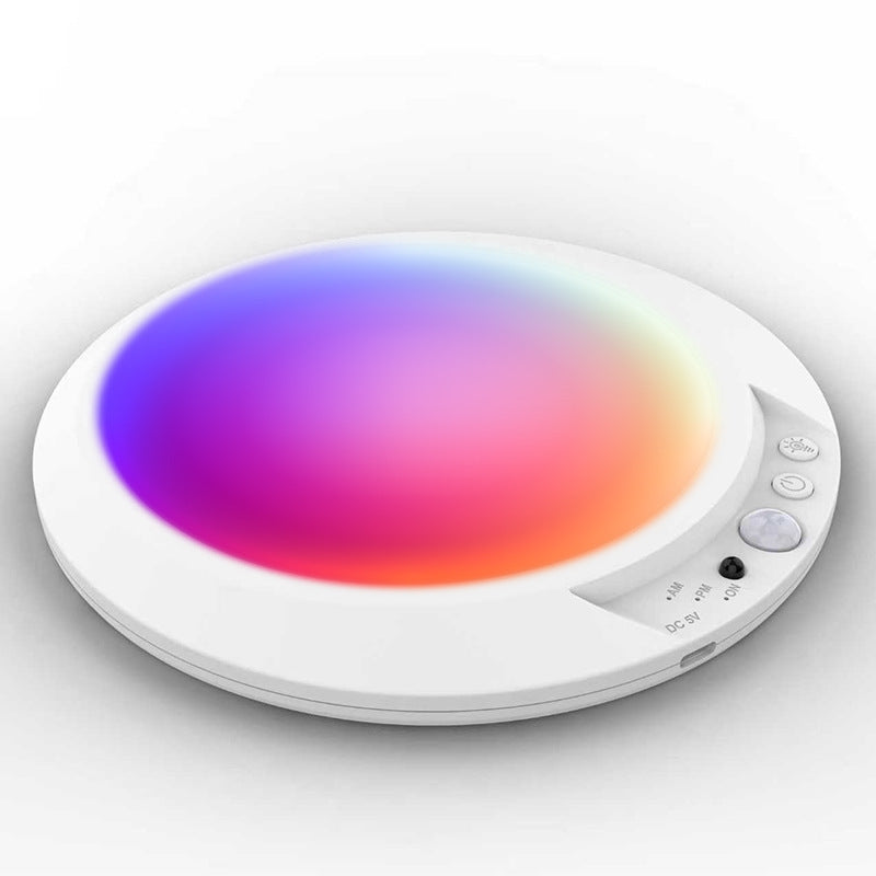 motion sensor light
