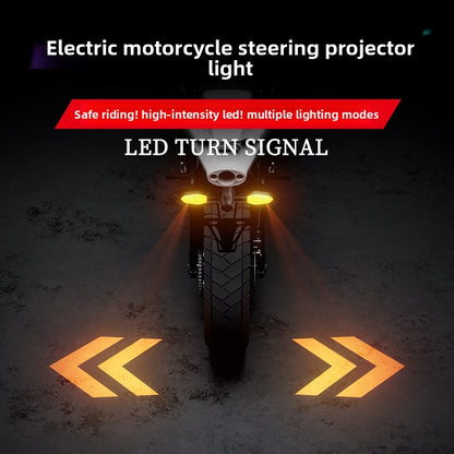 Motorcycle turn signal