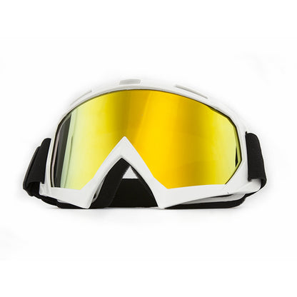 Mountain biking sports goggles