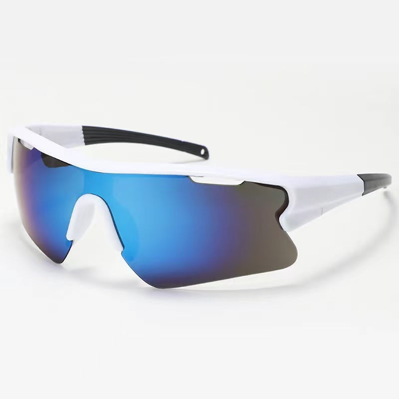Mountaineering goggles