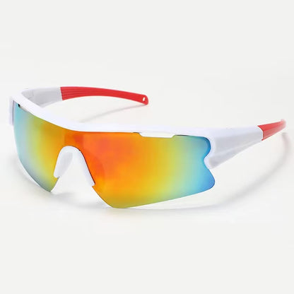 Mountaineering goggles