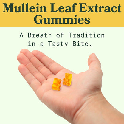 MULLEIN GUMMIES