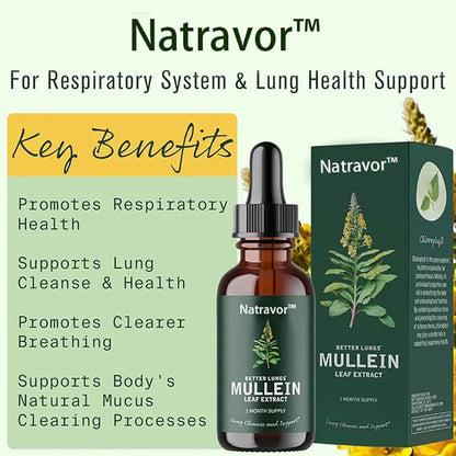 Mullein Leaf Extract Drops