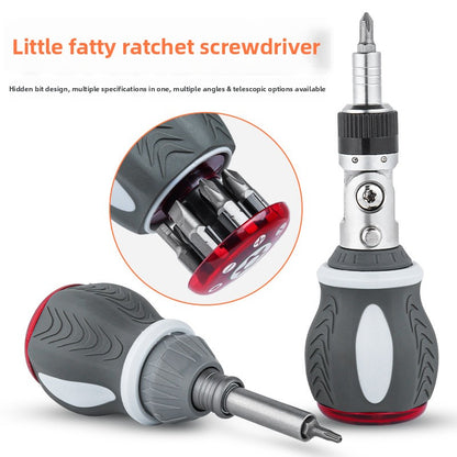 Multi-angle ratchet screwdriver