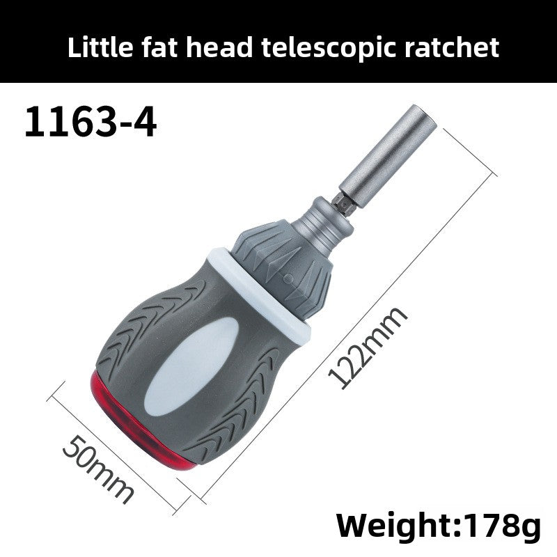 Multi-angle ratchet screwdriver