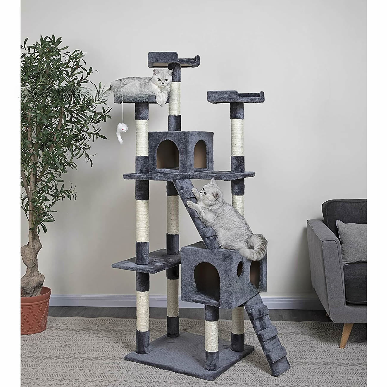 Multi-level cat tree saves floor space