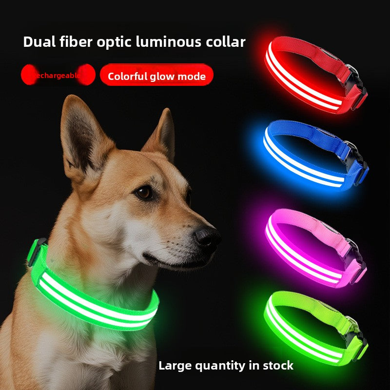 Multicolored glowing dog collar