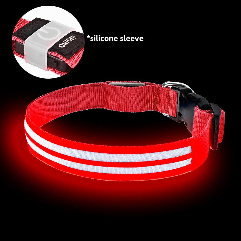 Multicolored glowing dog collar