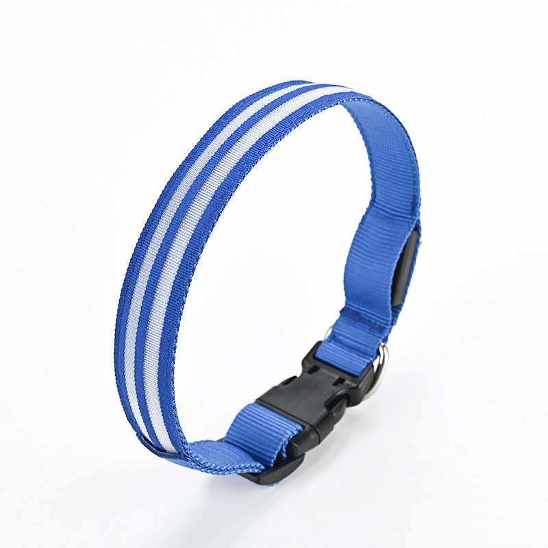 Multicolored glowing dog collar