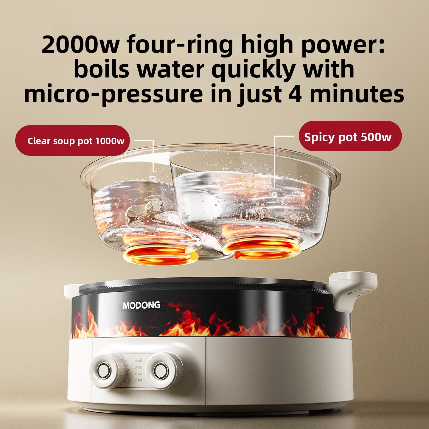 Multifunctional Electric Hot Pot with Dual Temperature Control