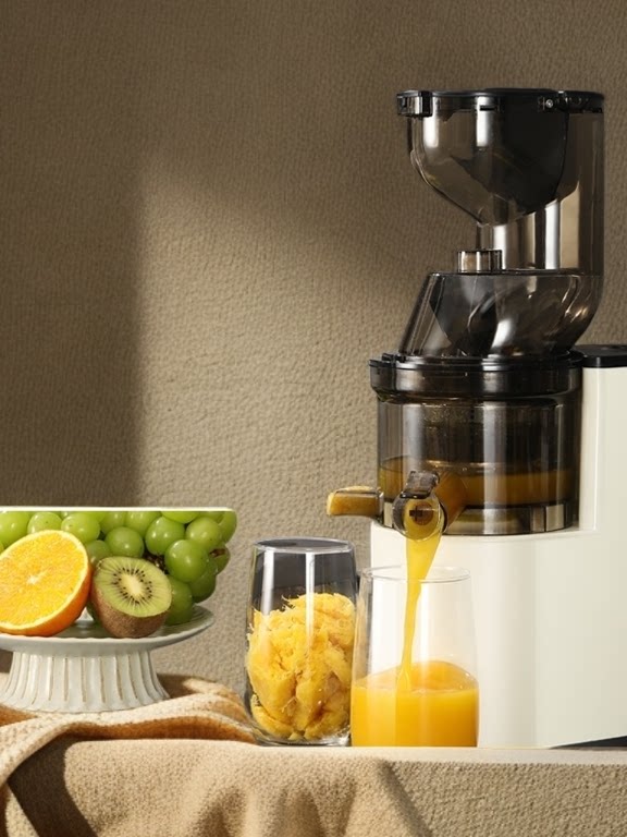 Multifunctional Electric Juicer Machine