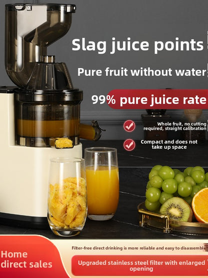 Multifunctional Electric Juicer Machine