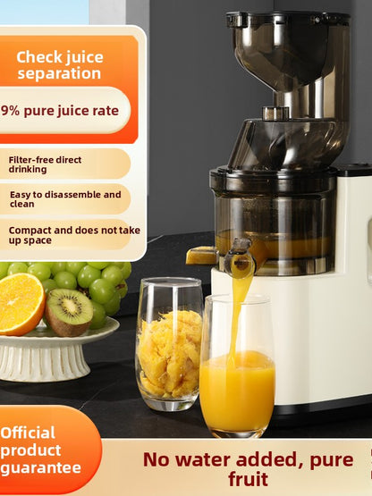 Multifunctional Electric Juicer Machine