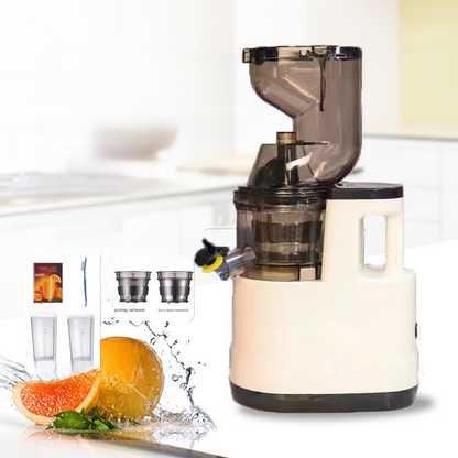 Multifunctional Electric Juicer Machine