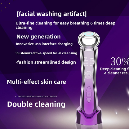 Multifunctional Facial Beauty Instrument