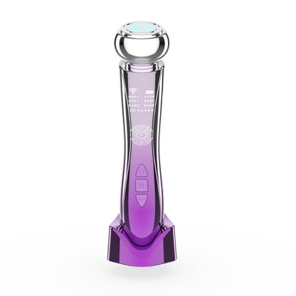 Multifunctional Facial Beauty Instrument