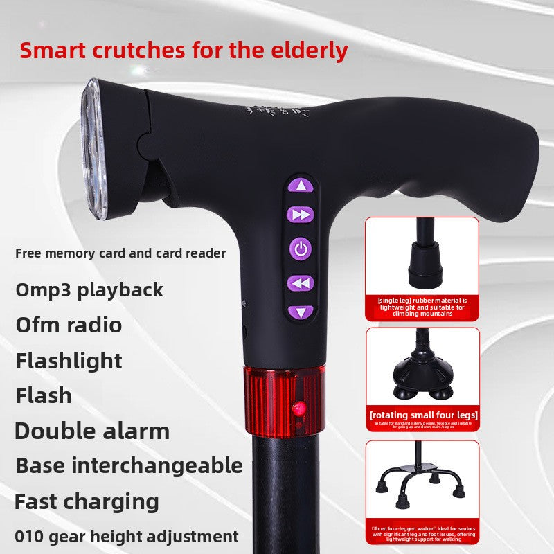 Multifunctional smart walking stick